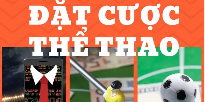 Cá cược thể thao niềm vui mỗi ngày
